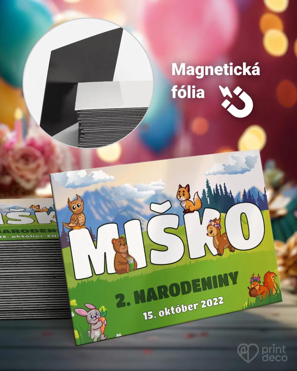 Magnetky z detskej oslavy – Lesné zvieratká