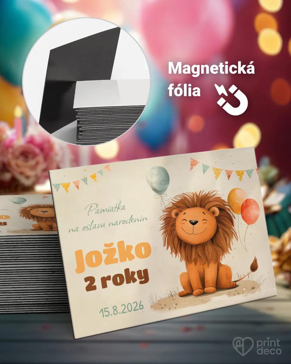 Pamätné magnetky z oslavy obdĺžnik - Kreslený lev