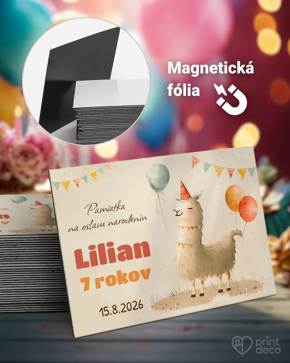 Pamätné magnetky z oslavy obdĺžnik - Kreslená lama