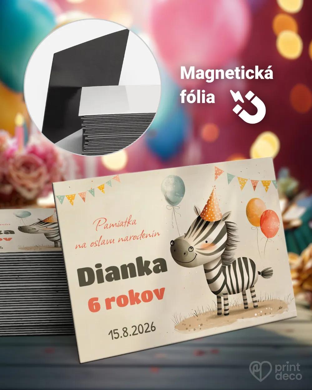 Pamätné magnetky z oslavy obdĺžnik - Kreslená zebra