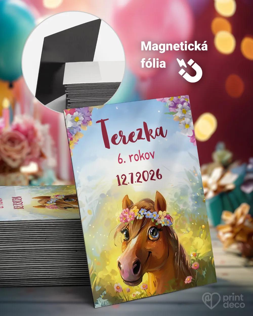 Pamätné magnetky z oslavy obdĺžnik - Koník 1