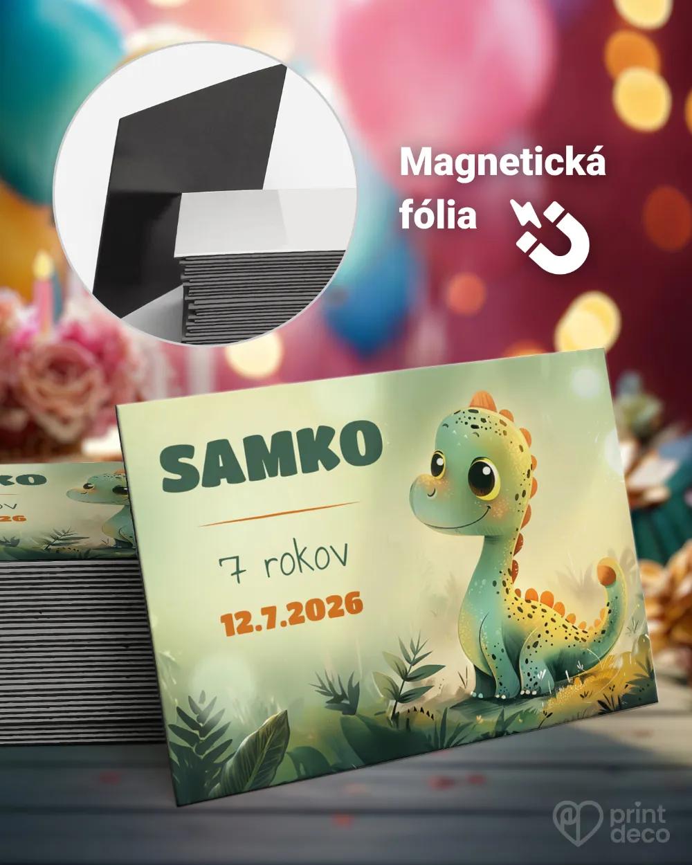 Pamätné magnetky z oslavy obdĺžnik - Dino