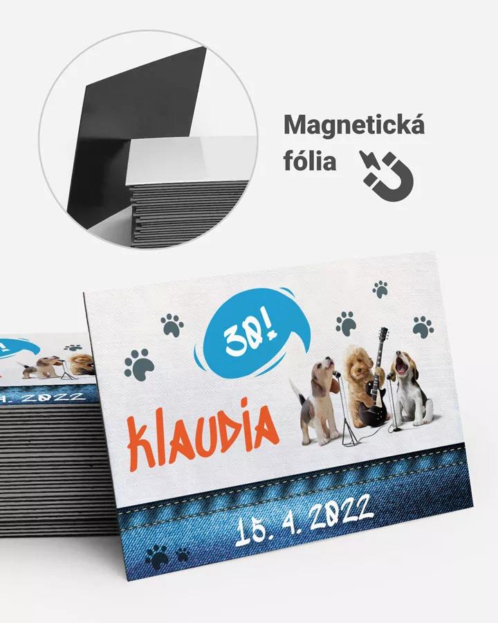 Pamätné magnetky z oslavy obdĺžnik - Divoká párty