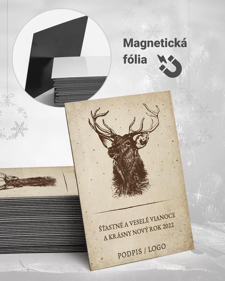 Vianočné magnetky - motív 26 (svetlá)