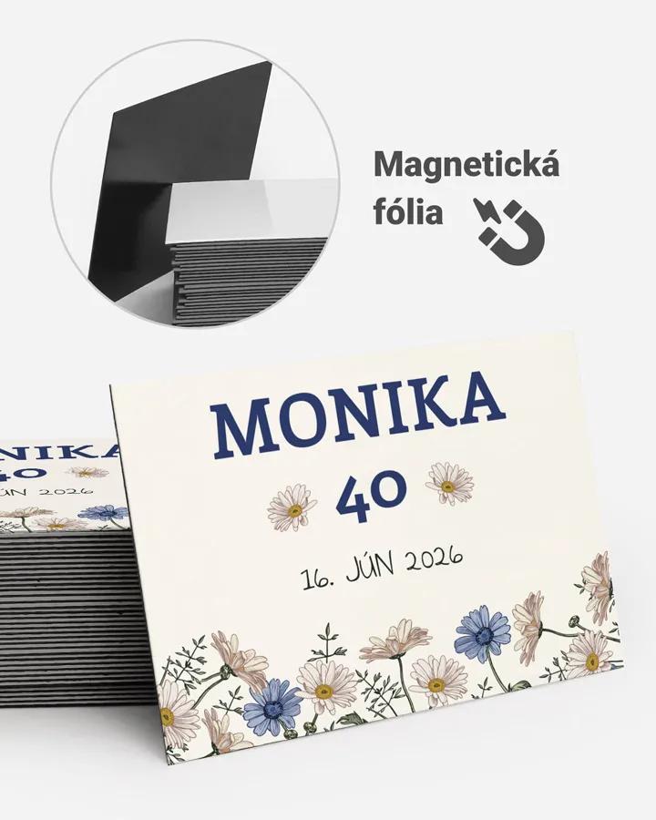 Pamätné magnetky z oslavy - Harmanček