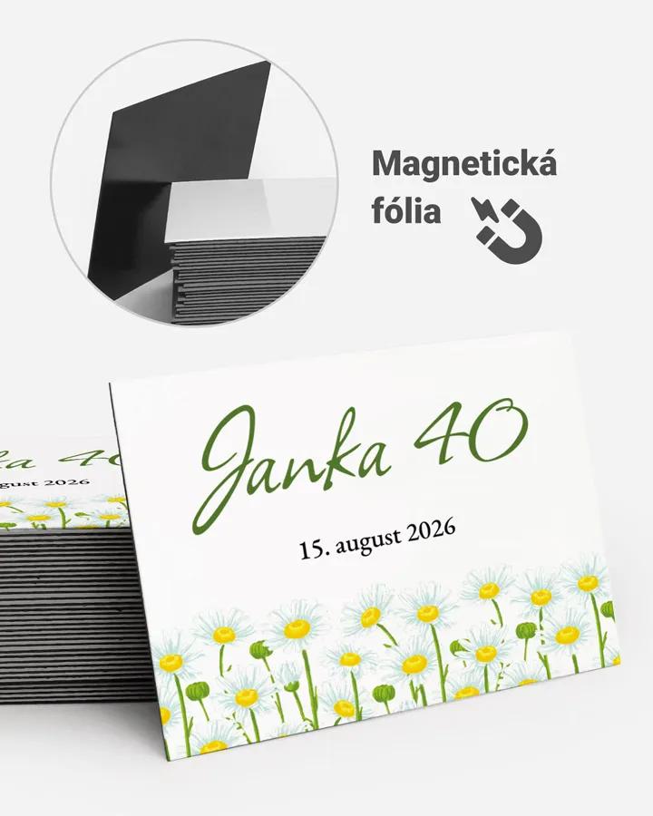 Pamätné magnetky z oslavy  - Sedmokrásky