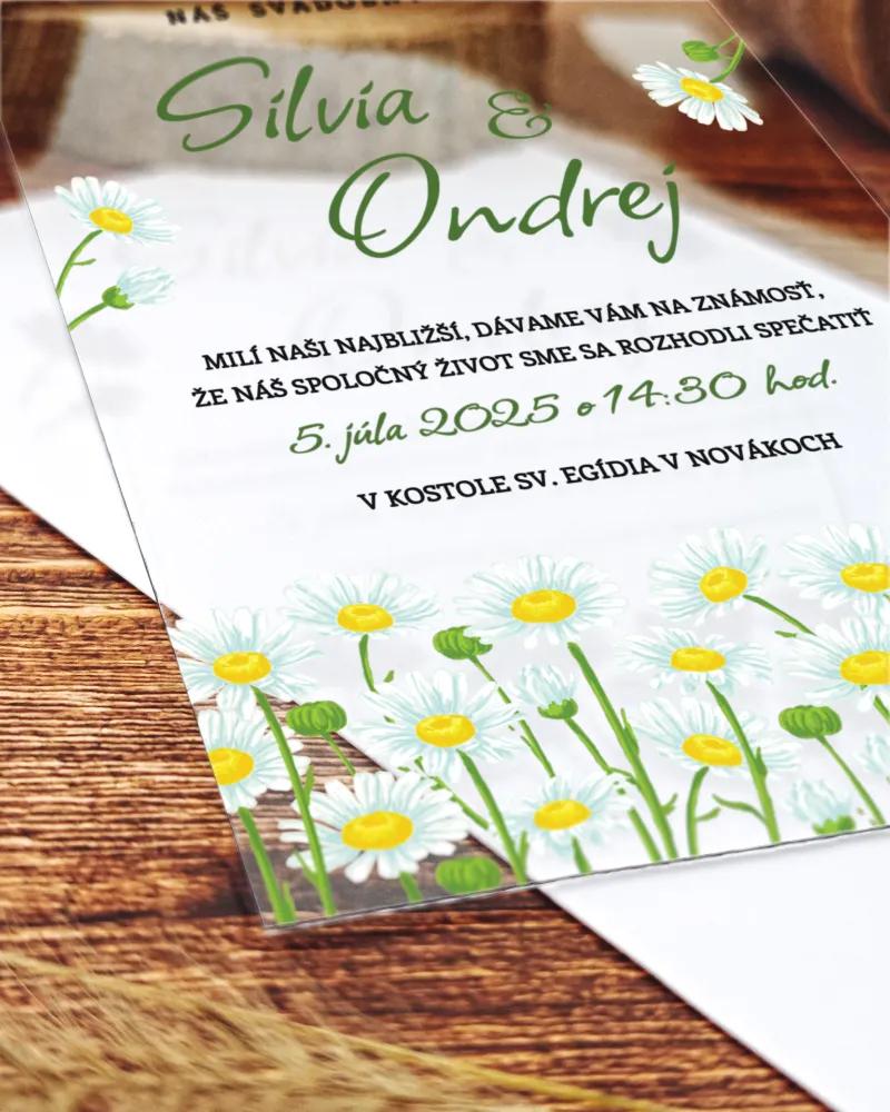 Transparentné svadobné oznámenia Nežné sedmokrásky 1/2