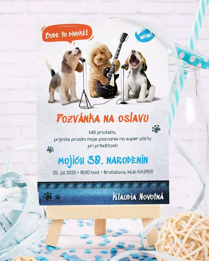 Pozvánka na oslavu narodenín - Divoká párty