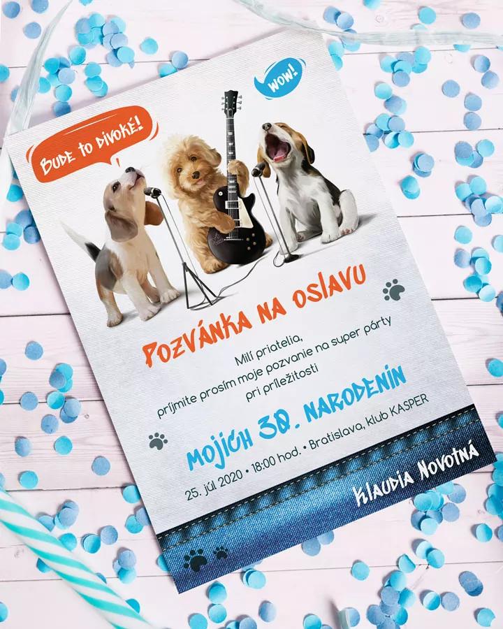 Pozvánka na oslavu narodenín - Divoká párty 1/3