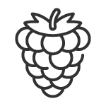 Etikety na malinovicu