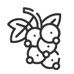 Etikety na ríbezľovicu