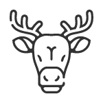 Pre poľovníkov a rybárov