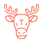 Pre poľovníkov a rybárov