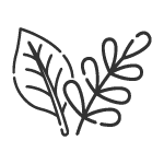 Prírodné pozvánky