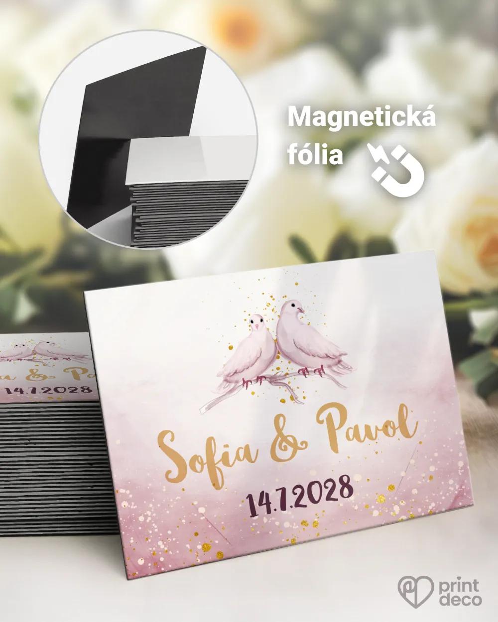 Svadobné magnetky - Biele holubice