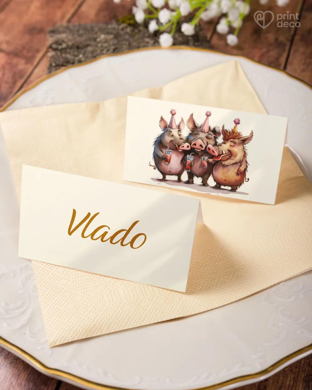 Menovky na oslavu Párty divočákov